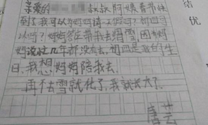 Bức thư xin nghỉ Tết cho mẹ của cô bé 8 tuổi khiến vị sếp xúc động