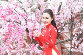 Nữ hoàng doanh nhân Kim Chi rực rỡ trong tà áo dài đón Tết Kỷ Hợi 2019