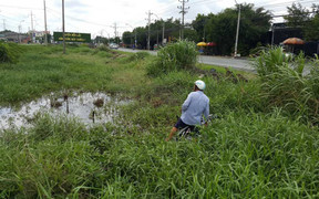Truy bắt kẻ dùng bình xịt hơi cay và dao tấn công cảnh sát hình sự ở Long An