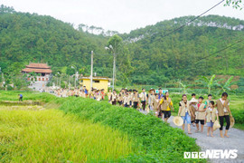 Hàng trăm học sinh thành phố lội ruộng mót lúa, nấu cơm chay cúng Phật