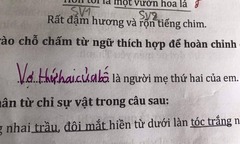 Cười té ghế với màn điền từ vào chỗ trống ngây ngô của học trò