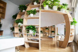 Khám phá trường mầm non đầu tiên dạy triết lý giáo dục Ý tại Việt Nam