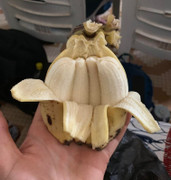 Những hình ảnh lạ lùng trong cuộc sống có thể bạn chưa biết