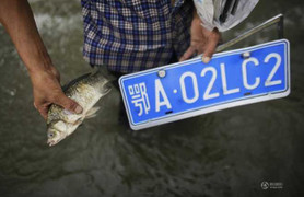 Lạ lùng nghề vớt biển số xe mùa mưa lũ tại Trung Quốc