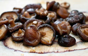 Không ngờ nấm hương có thể giúp phòng ngừa ung thư cổ tử cung