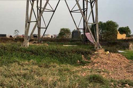 Nghi án nam thanh niên bị sát hại ở cánh đồng