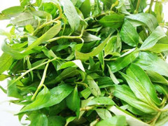 Tác dụng chữa bệnh ít biết của các loại rau thơm