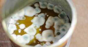 6 dấu hiệu cảnh báo thực phẩm bị ôi thiu