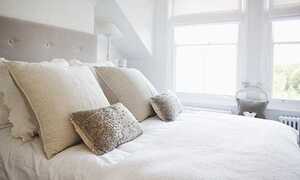 Lý do khiến bạn nên thay gối ngay hôm nay