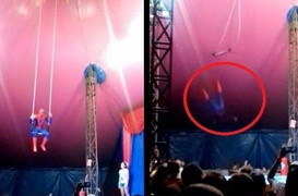 Hóa thân thành Người Nhện, diễn viên xiếc ngã từ độ cao 5 m