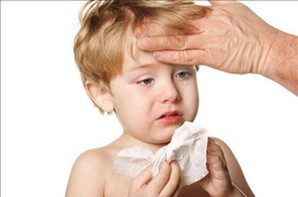 Người lớn đang 'tiêu diệt' hệ miễn dịch của trẻ thế nào?