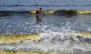 Vệt nước màu đen kéo dài hơn 5 km ven biển Đà Nẵng