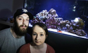 Chất độc nghi từ bể cá cảnh khiến cả gia đình ở Anh nhập viện