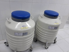 Ngân hàng mô đầu tiên của Việt Nam chính thức hoạt động