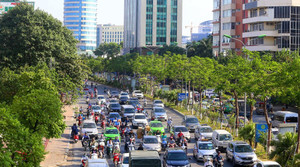 Hệ thống một triệu cây xanh hơn 250 tỷ đồng ở thủ đô