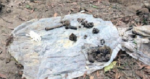 Tìm thấy hố chôn tập thể liệt sĩ tại sân bay Biên Hòa