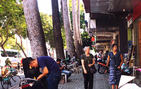 Đốn hạ, di dời 28 cây xanh trên đường Lê Lợi để xây dựng Metro ở TP.HCM