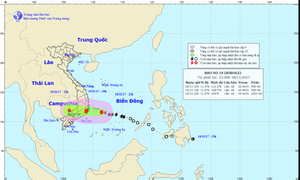 Tin mới nhất bão số 14 thẳng tiến Nam Trung Bộ