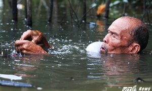 Ảnh: Cuộc sống bình dị của lão nông 82 tuổi từng bắn rơi 7 máy bay Mỹ