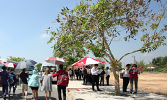 Bị Sở Xây dựng Long An ‘sờ gáy’, Cát Tường Group nói 'có thể do nhầm lẫn'