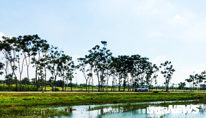 Yêu cầu thanh tra toàn diện dự án của Công ty Phi Long