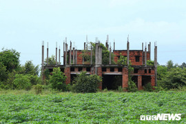 Thăng Long Real 'sa lầy' bởi 'cú lừa ngoạn mục' ở Thành phố Nhơn Trạch