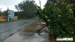 Tâm bão số 9 áp sát Phú Quý, gió giật cấp 12