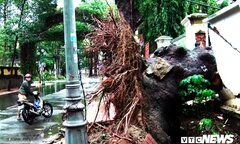 Ngày mai hơn 200.000 học sinh Bà Rịa - Vũng Tàu tiếp tục nghỉ học để tránh bão