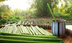 Thầy giáo bỏ nghề, ‘về vườn' sản xuất ống hút bằng cỏ, thay thế sản phẩm nguy hại môi trường