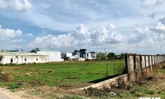 TP.HCM: Người dân được dùng đất nông nghiệp hợp pháp để chuyển đổi mục đích sử dụng