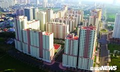 Ảnh: 3.790 căn hộ giá gần 10.000 tỷ đồng bị bỏ hoang 4 năm tại TP.HCM