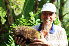 Phi công huyền thoại Nguyễn Văn Bảy - anh hùng lái máy bay khi chưa biết đi xe đạp