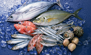 Mẹo phân biệt cá tươi đông lạnh và cá chết cho các bà nội trợ