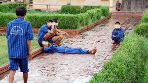 Có đáng lo lắng khi gần 14 triệu người Việt bị tâm thần?