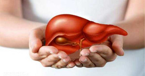 Phục hồi gan do bia rượu cho quý ông sau Tết