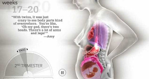 Video: 25 giây miêu tả quá trình mang thai và sự phát triển của bé trong bụng mẹ