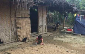 Thêm một vụ nghi xâm hại tình dục bé gái 4 tuổi chấn động Phú Thọ