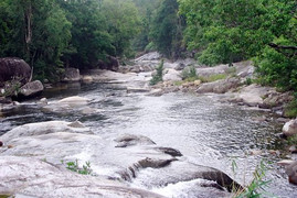 Bắc Kạn: Uống nước suối, 8 người nhập viện nguy kịch