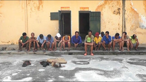 Đột kích tụ điểm đá gà ăn tiền ở An Giang