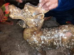 Truy tìm nhóm người thả tượng lạ ở cửa biển Cà Mau