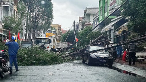 Trụ điện gãy đôi, đè trúng ô tô biển xanh đưa đón Bí thư Thành ủy Vị Thanh, Hậu Giang