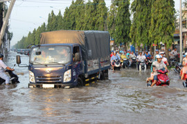Hơn 100 tuyến đường ngập do triều cường, Cần Thơ sẽ khắc phục thế nào?