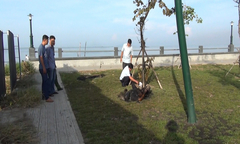 Xác định nguyên nhân người đàn ông chết cháy trong công viên ở TP. Rạch Giá