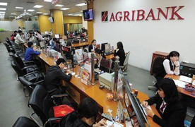 Giải mã lợi nhuận Agribank: ‘Em út’ hay ‘anh cả’ trong tứ trụ ngân hàng?