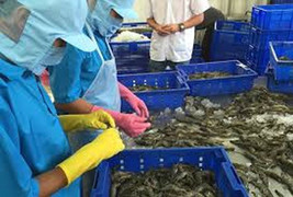 20 mặt hàng xuất khẩu vượt ngưỡng 1 tỷ USD