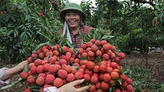 Kỳ tích 5.800 tỷ đồng: Bắc Giang làm chuyện chưa từng có ở Việt Nam