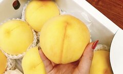 Đào vàng Nhật Bản: Món quà hút khách mùa vu lan