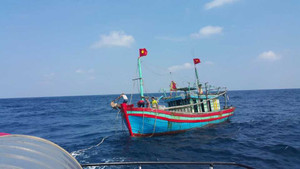 Giải cứu tàu cá gặp nạn trên biển, cứu sống 5 ngư dân