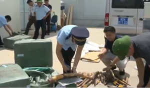 Thu giữ 310 kg ngà voi tại sân bay Nội Bài