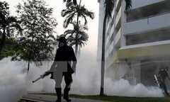 Virus Zika có nguy cơ lan rộng ở châu Á -Thái Bình Dương